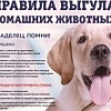 Уважаемые жители Белебеевского района!  Настоятельно просим вас не выпускать собак без присмотра!