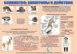 🐕🐈🦊🦝 Необходимость вакцинации от бешенства❗